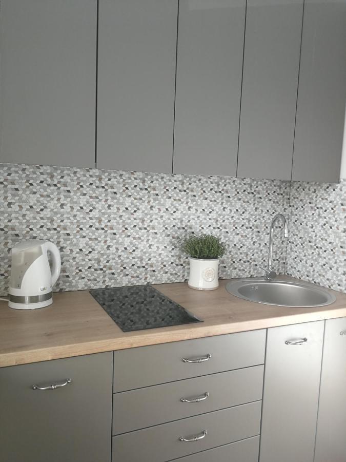 Central Apartments Nojus Друскининкай Екстериор снимка