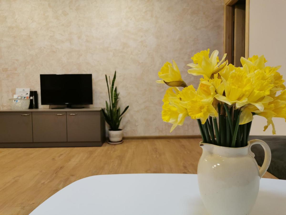 Central Apartments Nojus Друскининкай Екстериор снимка